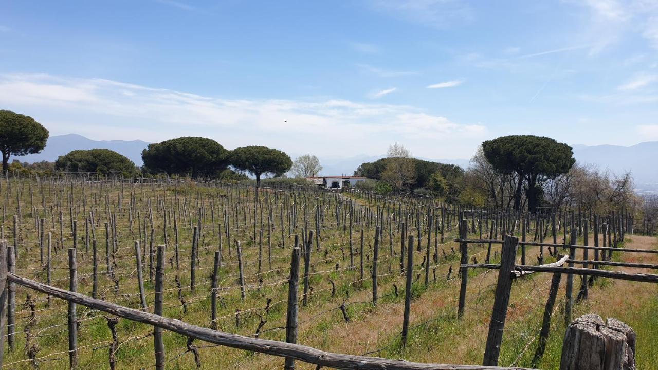 Boscotrecase Beb Casale Pompei Rendine 빌라 외부 사진